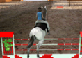 Horse Jumping 3D